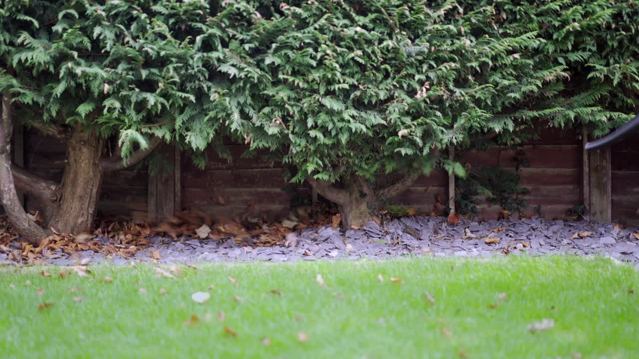 Uomo con stivali di gomma verdi che soffia via le foglie in giardino con un soffiatore