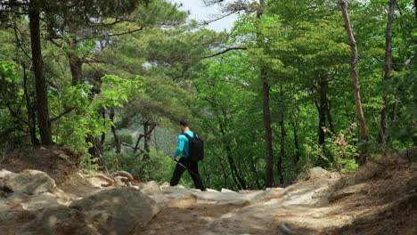 caucasian man hiker with backpack and trekking poles going down a steep forest trail in gwanaksan mountain, south korea - low angle back view