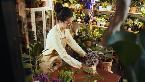 florista mujer arreglando plantas en una tienda