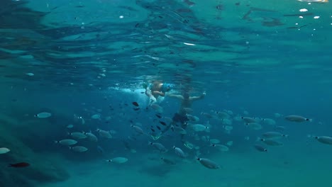 Underwater-view-of-little-boy-swimming-with-inflatable-armbands-in-middle-of-big-school-of-fish-in-deep-blue-water