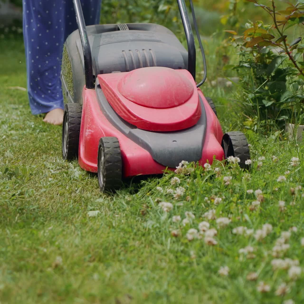 Mowing grass in the garden. Outdoor seasonal household works