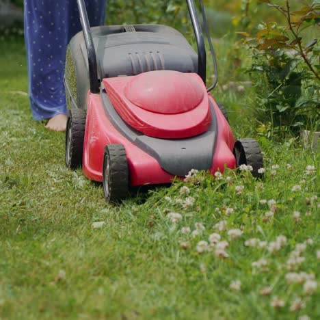 mowing grass in the garden. outdoor seasonal household works