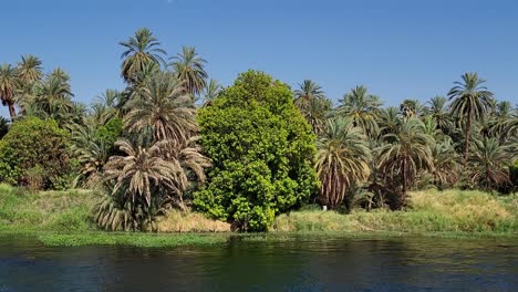 bank of the nile river