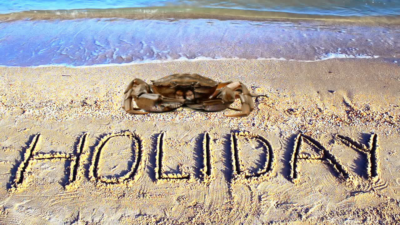 Krab en een inscriptie in het zand, het strand. Het woord 'vakantie' in het zand