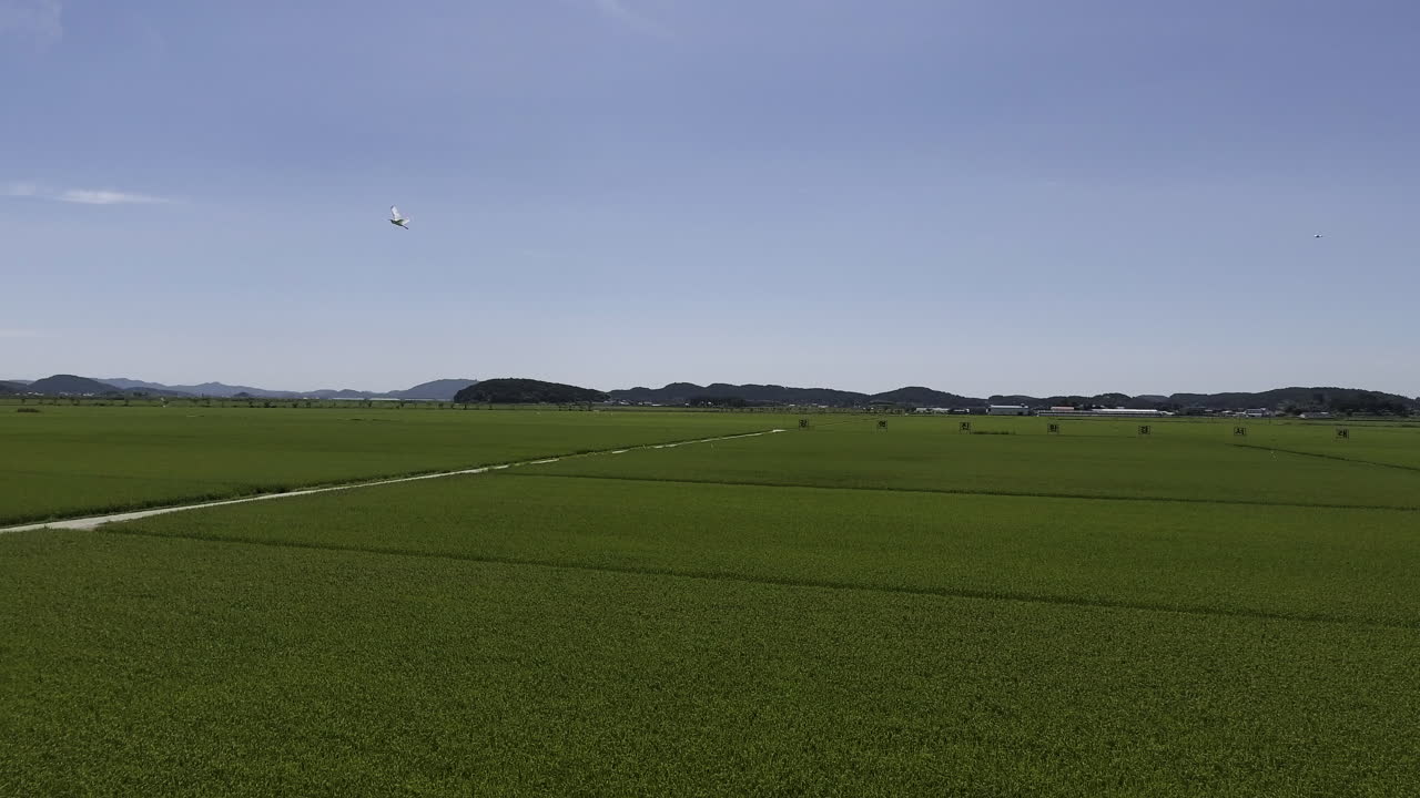 Rural landscape of rice farming area of Korea. midsummer