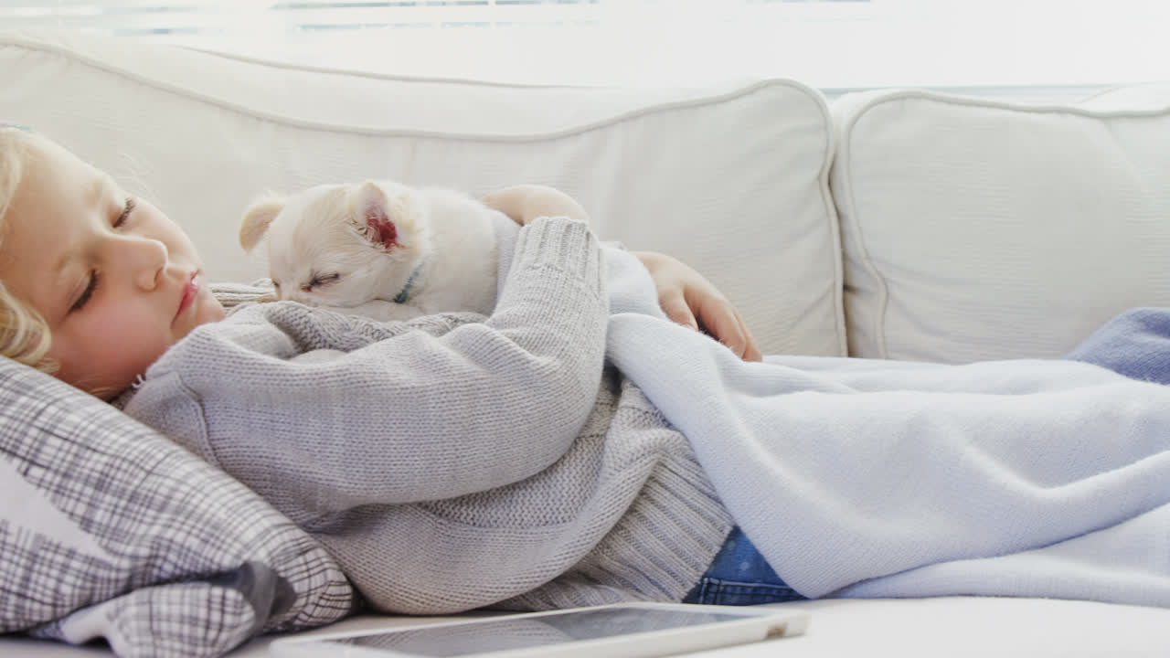 소파에서 잠을 자고 있는 작은 소녀가 애완동물을 팔에 들고 4k 4k