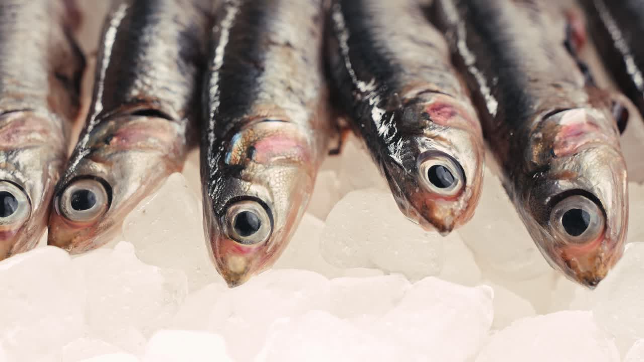 anchoas frescas en hielo