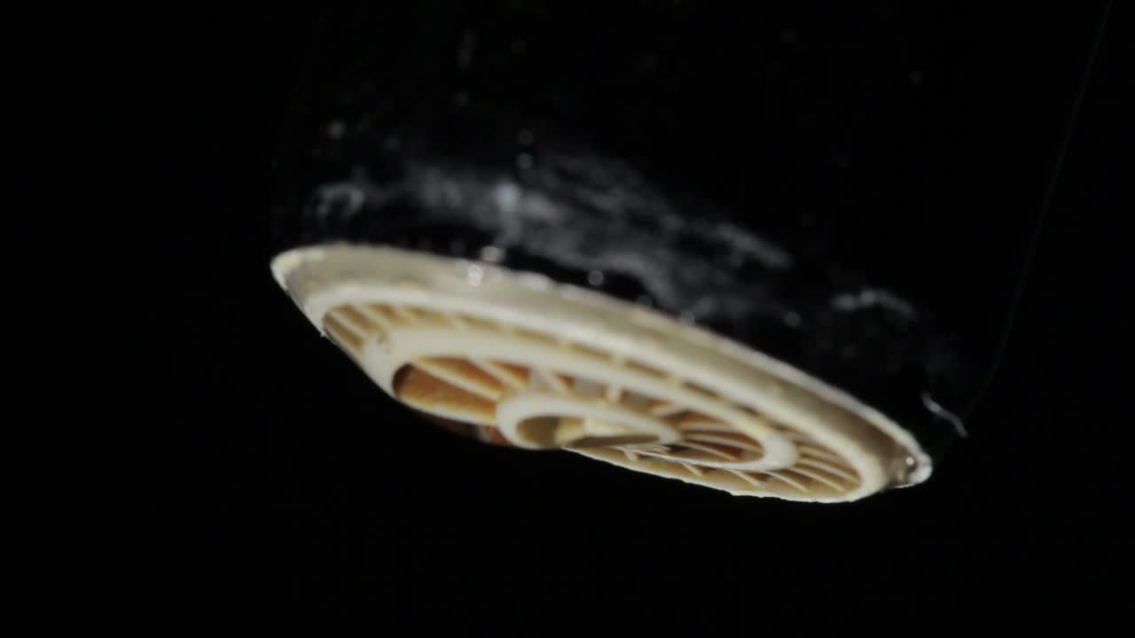 에서 떨어지는 물방울