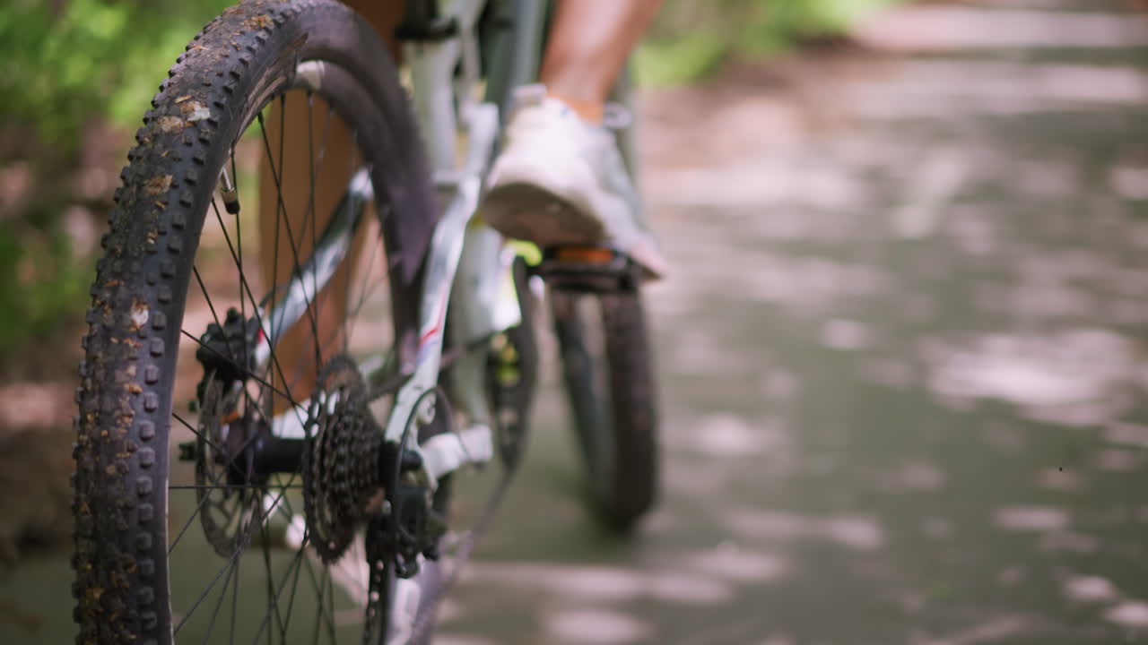 Cyclist On Journey, Rider Pedals Through Vivid Landscapes, Bicycle Rider Advances On Illuminated Scenic Pathways, Cyclist Enjoys Bright Trail With Spinning Gears And Pedals