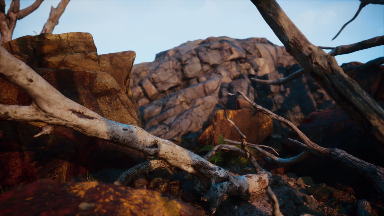 ramas secas de árboles muertos y cresta montañosa