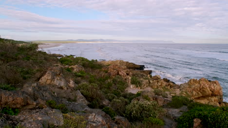 coastal vegetation and jagged rocks along hermanus coastline, high angle view