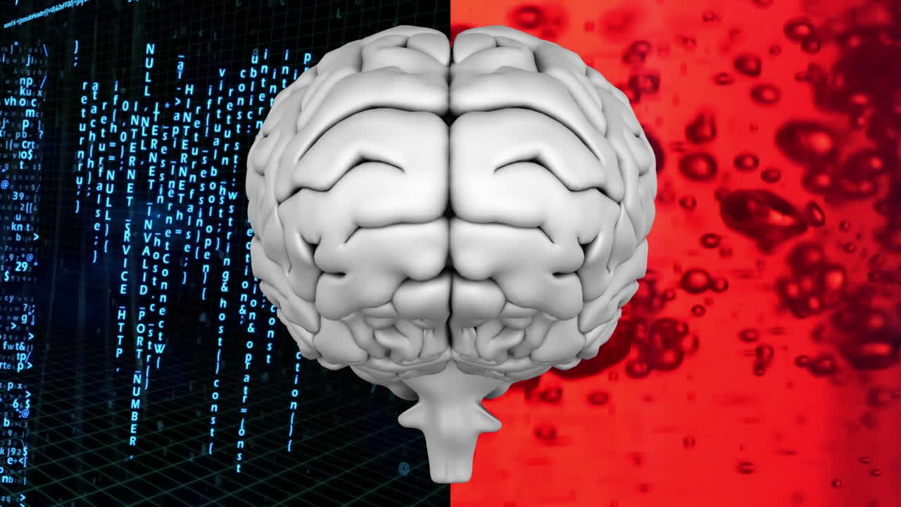 cerebro animado digitalmente con pantalla dividida