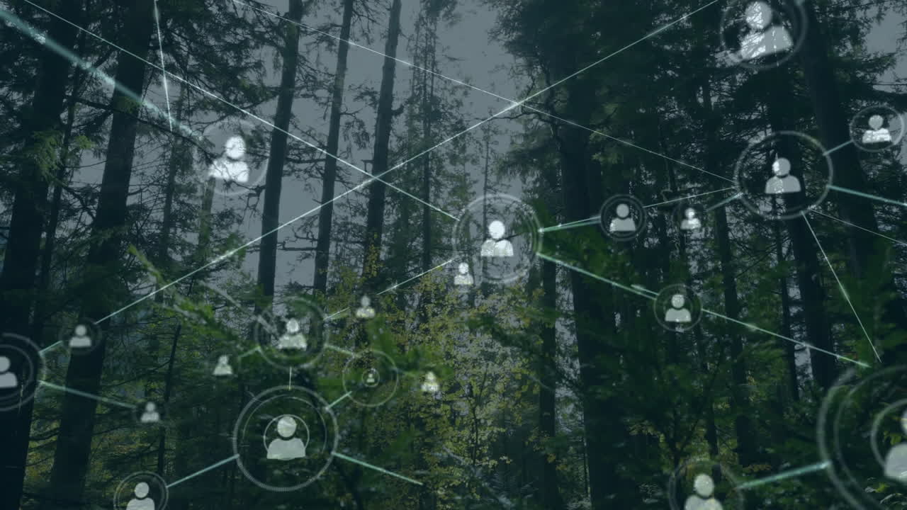 숲 위의 아이콘으로 연결된 네트워크의 애니메이션
