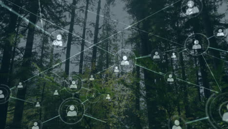 animación de la red de conexiones con iconos sobre el bosque