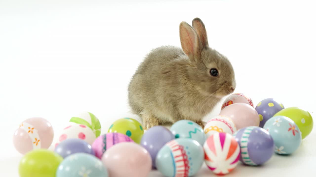 Ovos de Páscoa e coelhinho da Páscoa