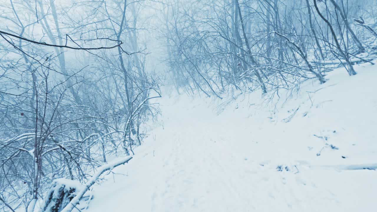 Paesaggio invernale suggestivo con alberi innevati e forte bufera di neve. Estetica bianca e pulita con spazio per il testo, ideale per sfondi cinematografici e documentari naturalistici.