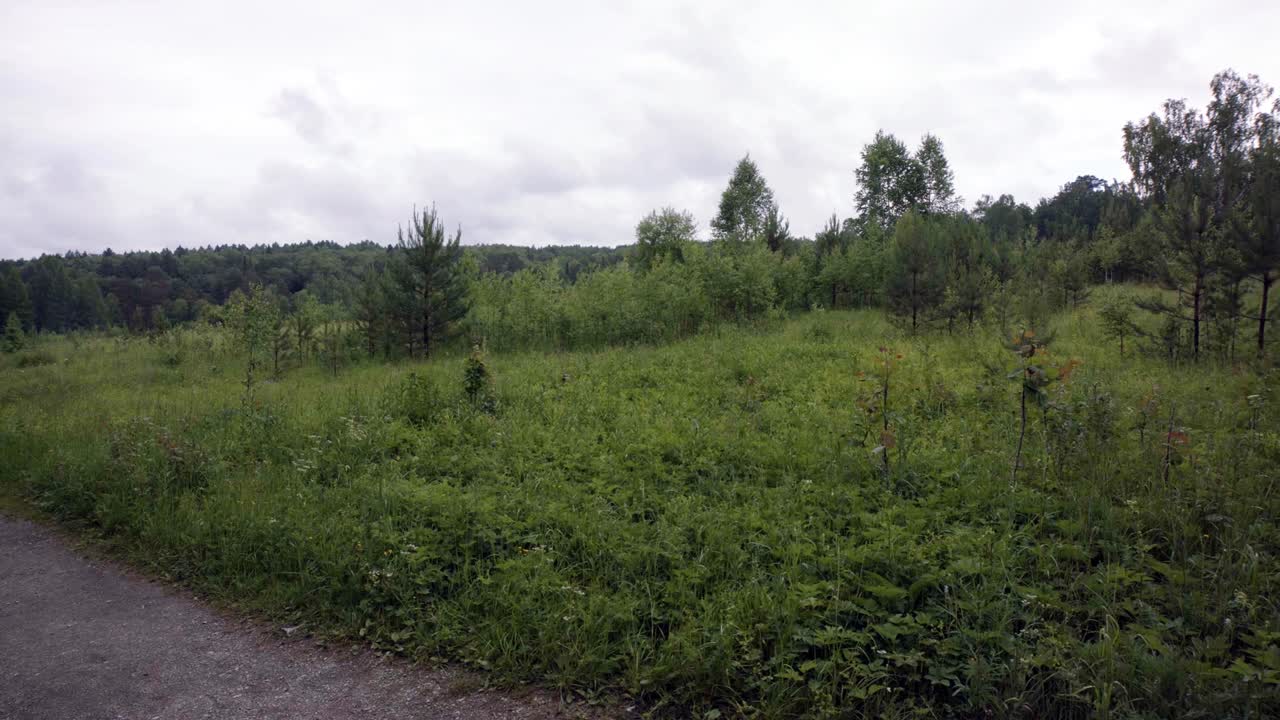 paisaje rural con hierba y árboles