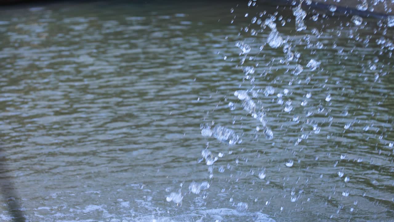 멜버른 동물원 의 분수 에서 어지는 물