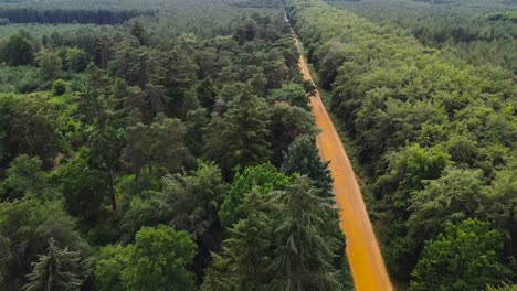 aerial view of a road inside a jungle with full of green big trees of the both side in the morning