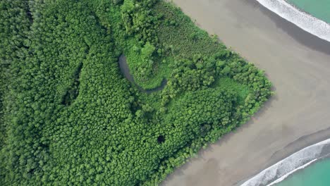 playa tropical de la selva tropical de la cola de ballena en costa rica que se estrecha en el océano