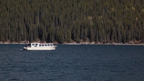 boat on a lake on a sunny day