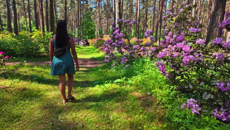 woman walks through a forest with high trees and pink flowers slow motion walking behind her on a sunny day