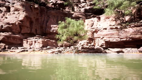 a serene river flowing through a rocky canyon