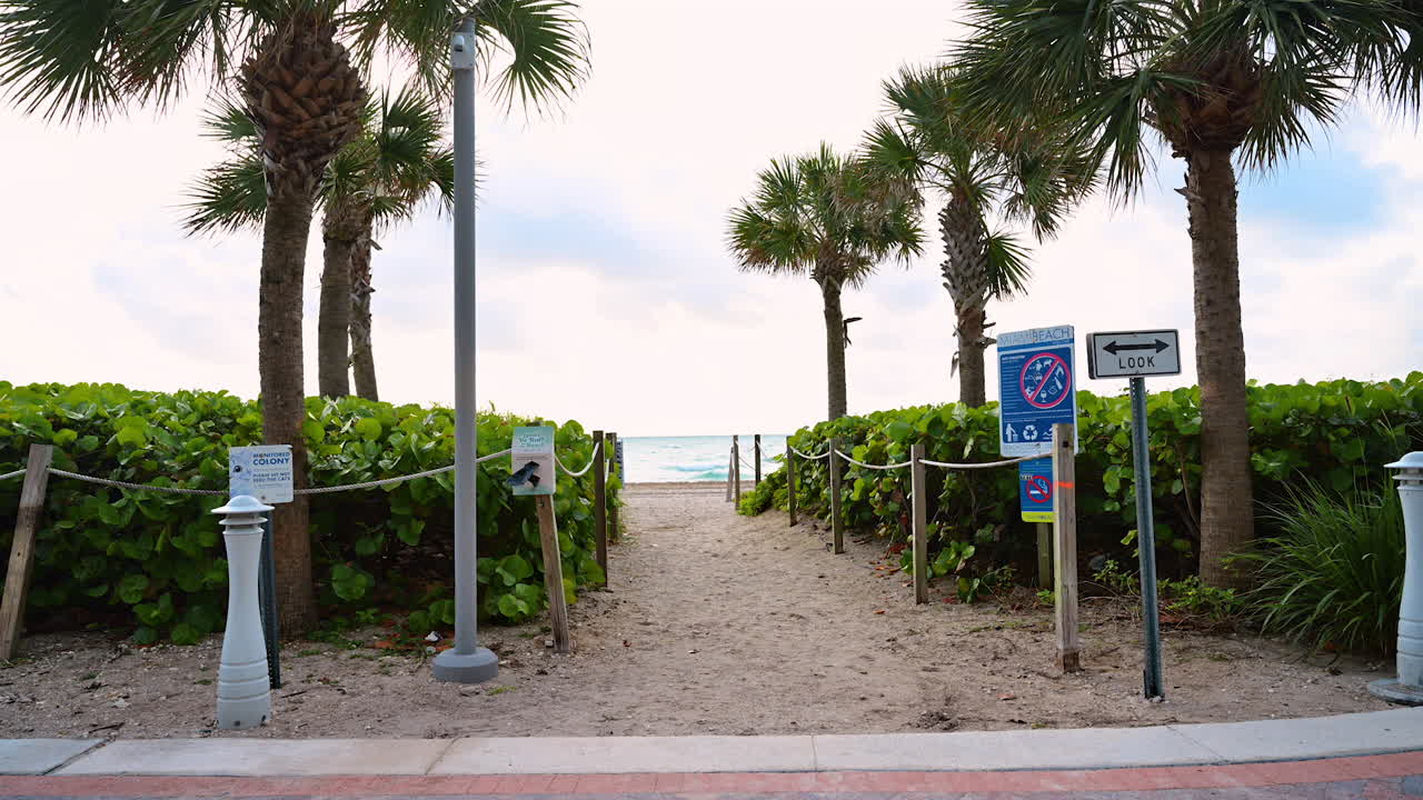 Sentiero d'ingresso alla spiaggia pubblica con palme e cartelli. Passerella sabbiosa per Miami Beach con vegetazione tropicale e cartelli informativi