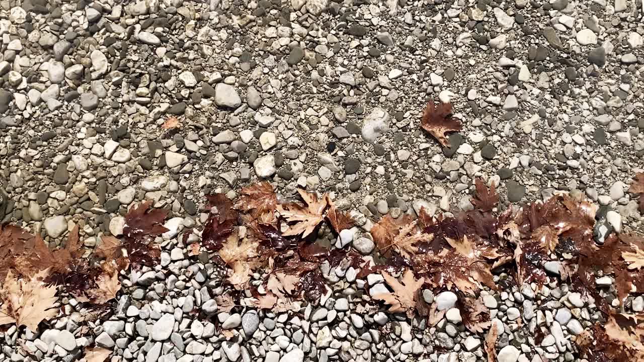 그리스 보이도마티스 강 표면의 아름다운 빛 반사