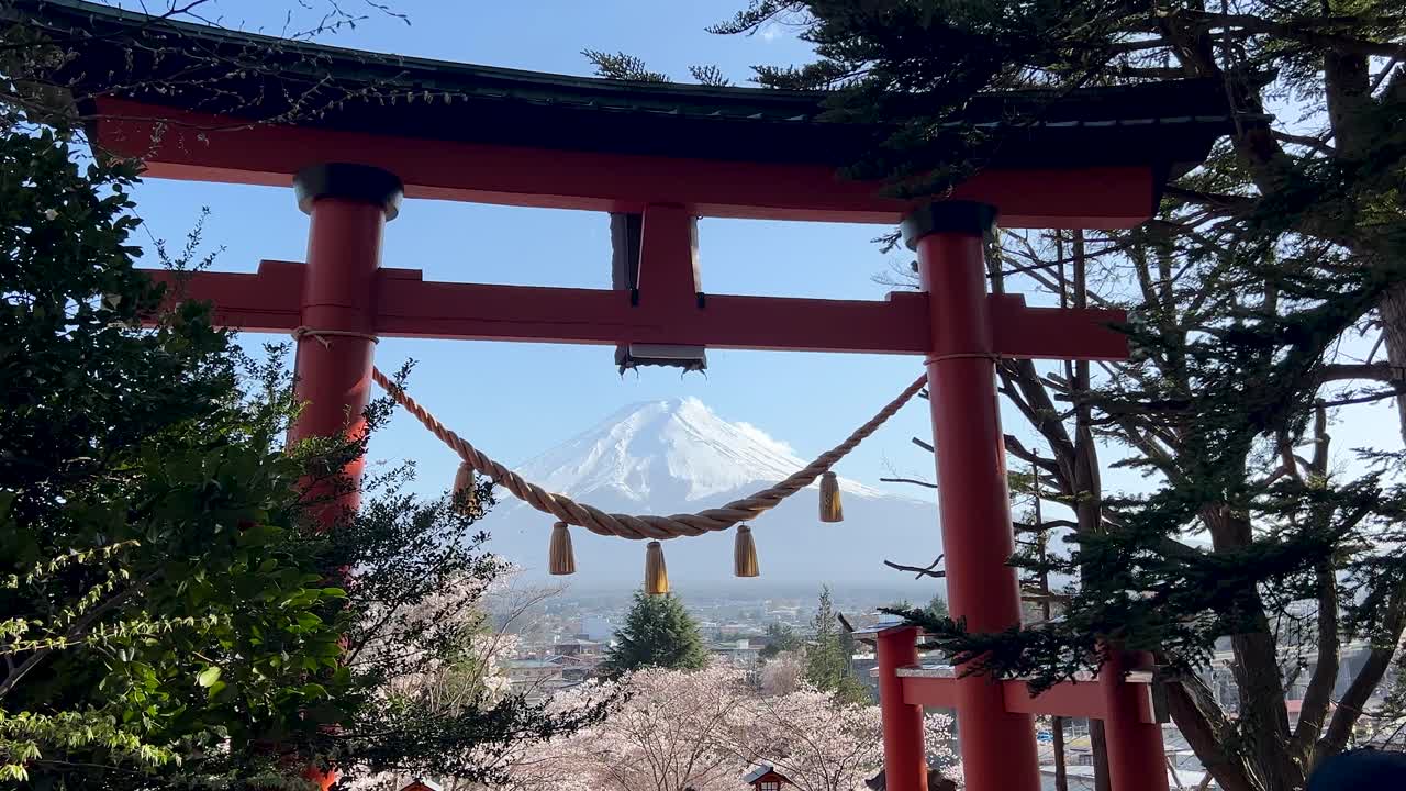 Incredible cinematic slider over Mt. Fuji with Sakura cherry blossoms and torii gate