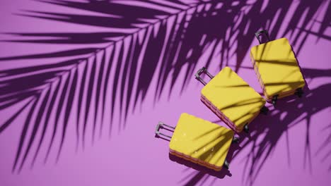 maletas en un fondo rosa tropical