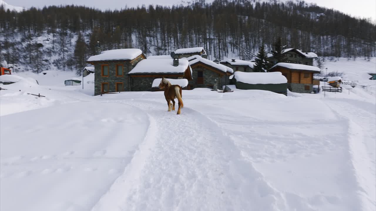 Light Brown Horse Walking On Snowy Landscape With Rustic Buildings And Snow-covered Mountain. Cheneil In Valtournenche, Italy. drone shot