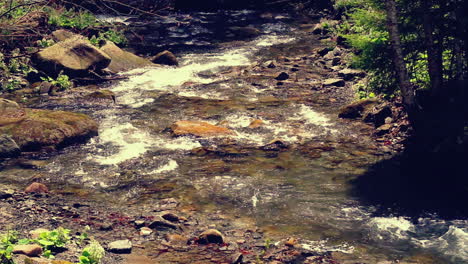 water stream flowing in forest. water flowing over stones at sunlight