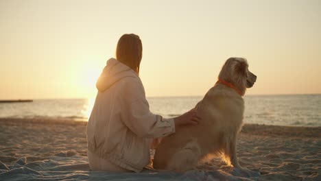 rear view: blonde girl petting her dog on the beach in the morning. sunny morning, beautiful transfusion of sunlight