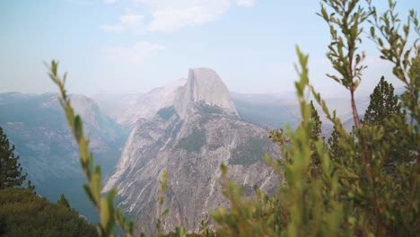 disparo lento hacia la mitad de la cúpula a través de ramas verdes, parque nacional de yosemite