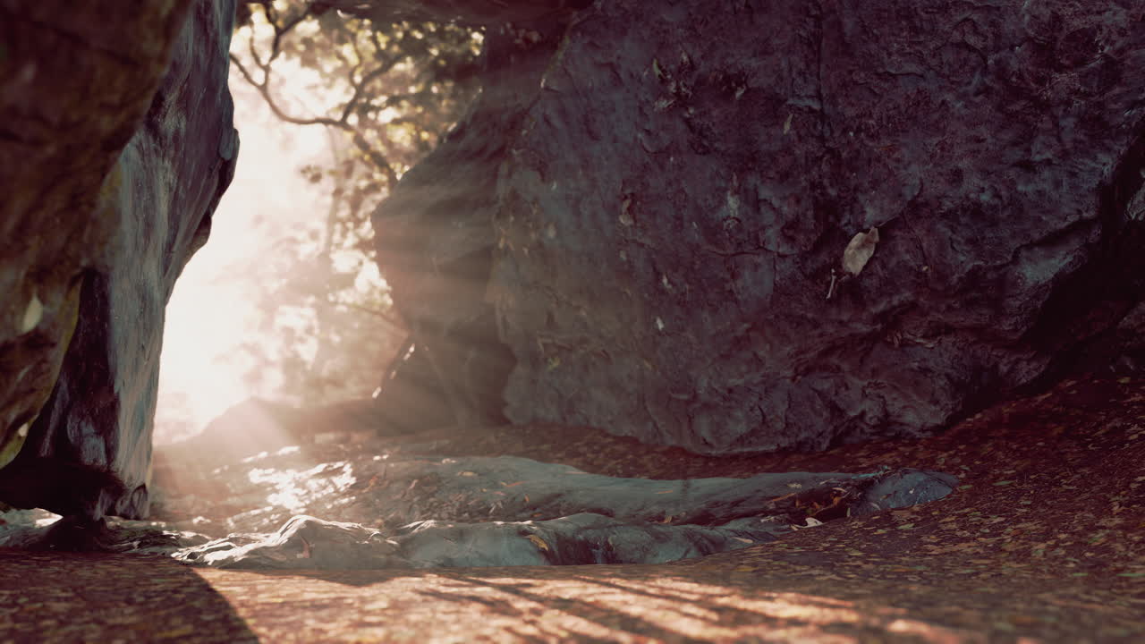 rayos de sol que fluyen a través de las rocas en un bosque