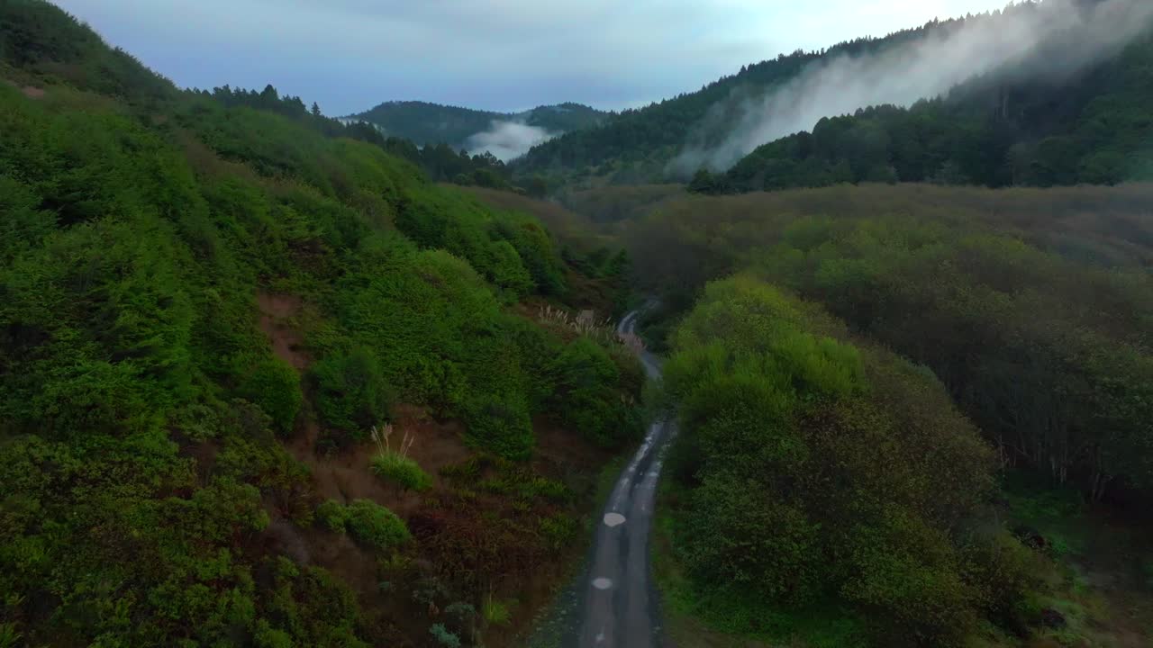 paseo de la costa perdido 4wd playa de uso whitehorn norte de california avión no tripulado aéreo oregón washington redwood parque nacional del estado bosque pnw pacífico noroeste mañana haz de sol niebla nubes de niebla mendocino hacia adelante