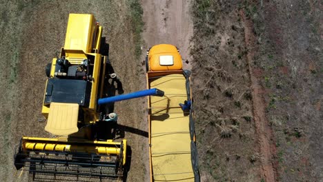 combine harvester offloading soybeans gathered from deforested farmland in the brazilian savannah - aerial view