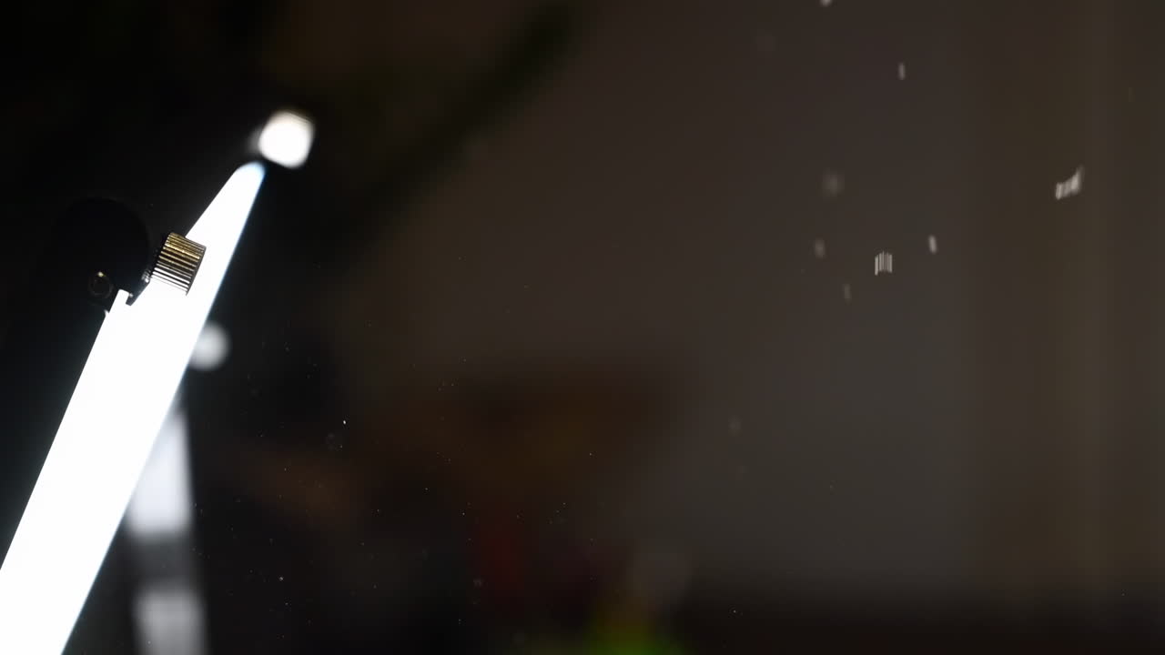 Close up of dust particles flying in the air near a light