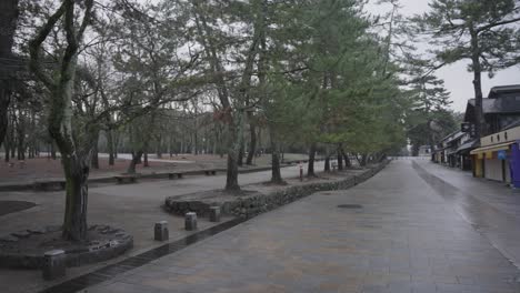 parque nara desierto en un día lluvioso en japón