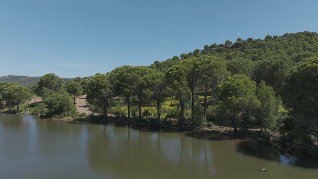 Ripresa semi-orbitale con drone che si sposta a sinistra sopra una laguna verde con riflessi, terminando vicino ai pini sulla riva. Scena naturale primaverile pacifica e panoramica nella campagna spagnola.