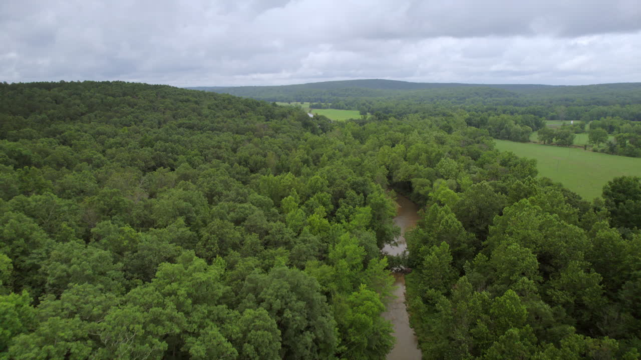 retroceda sobre el arroyo y los bosques en el sur de missouri en un día nublado de verano