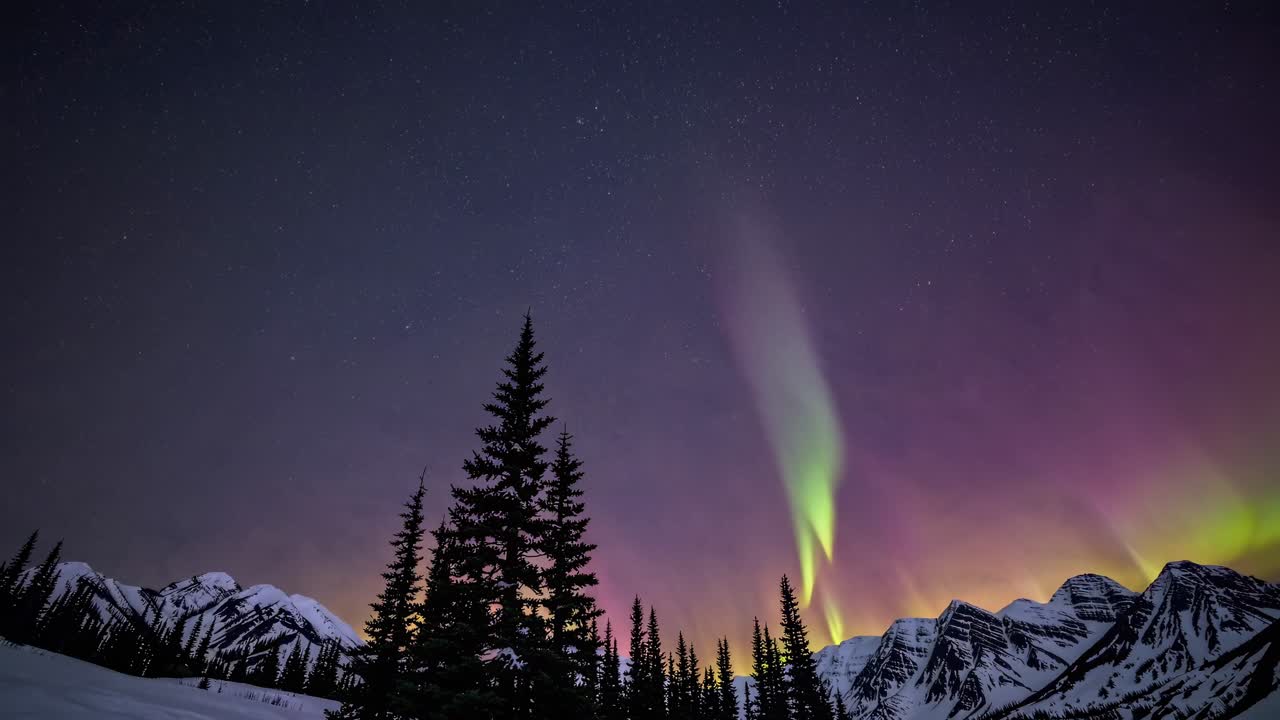 ярко зеленое, фиолетовое и розовое северное сияние освещает звездное ночное небо над заснеженным горным хребтом с силуэтами сосновых деревьев в спокойной зимней пустыне