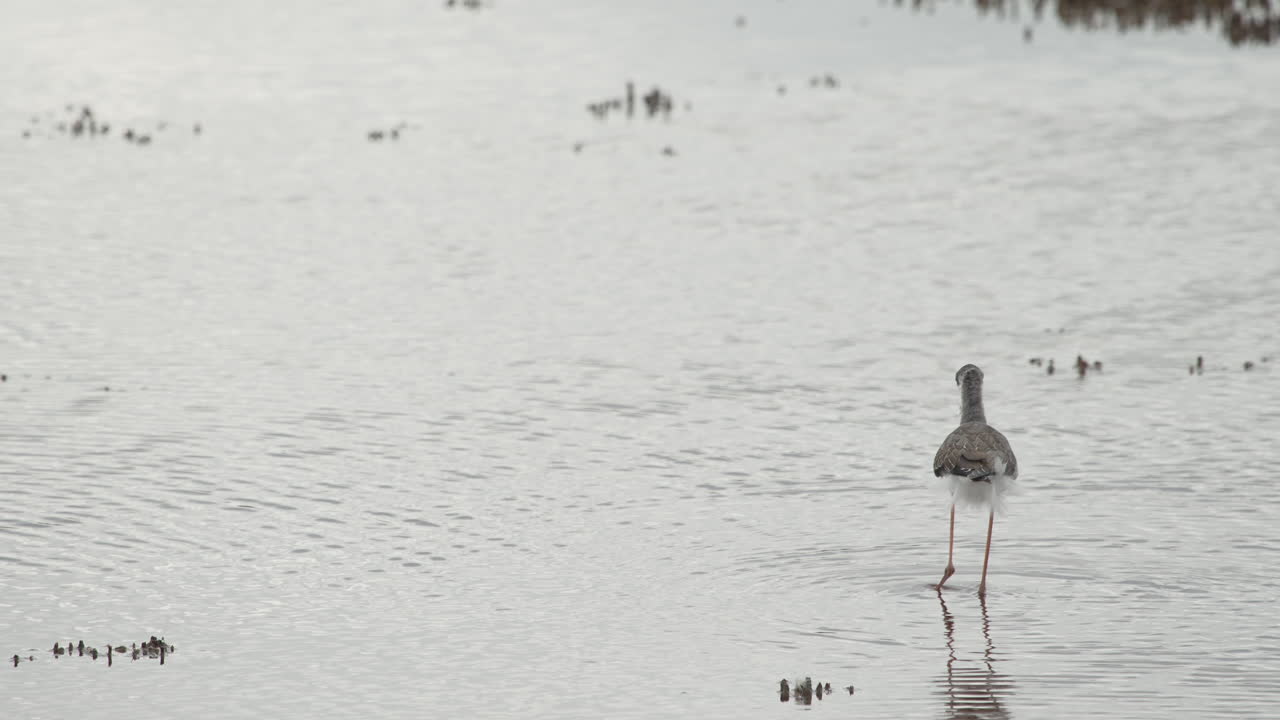 스 워커 의 근접 촬영
