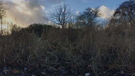 landschaftliche zeitverlaufslandschaft der küsten des ostseegrases mit schnell vorübergehenden wolken