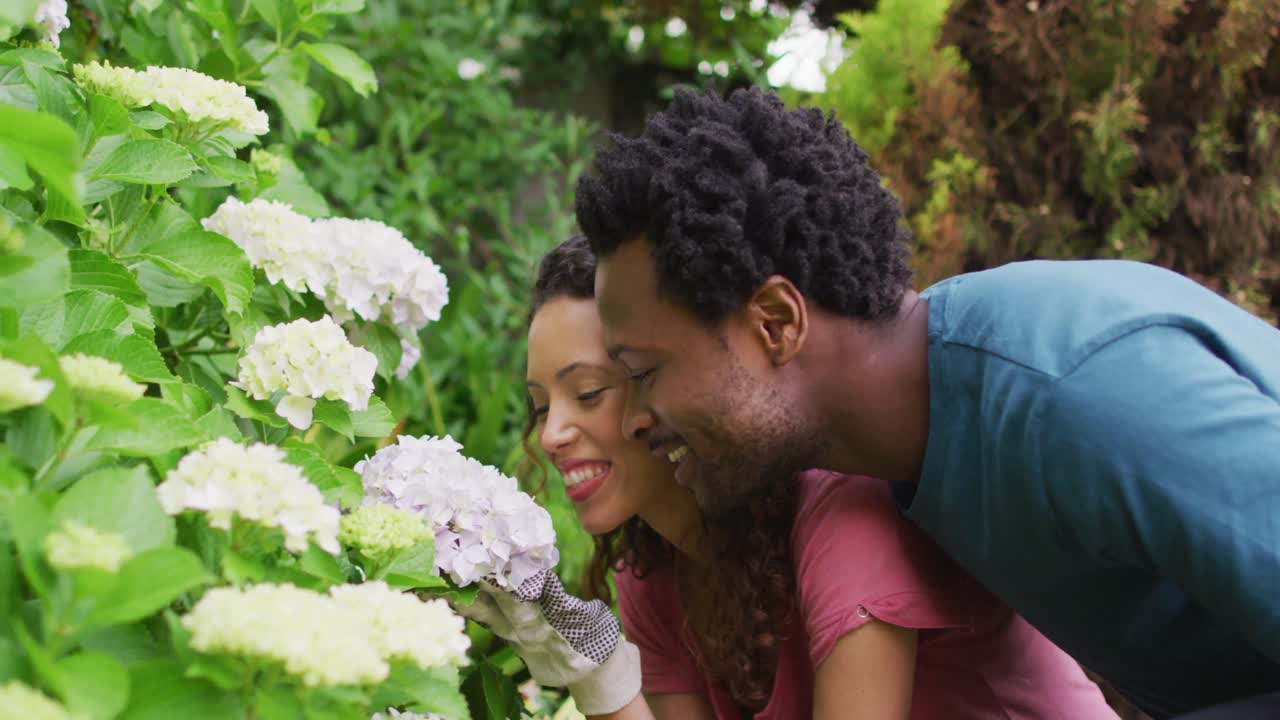 feliz pareja biracial jardinería juntos, oliendo flores y riendo