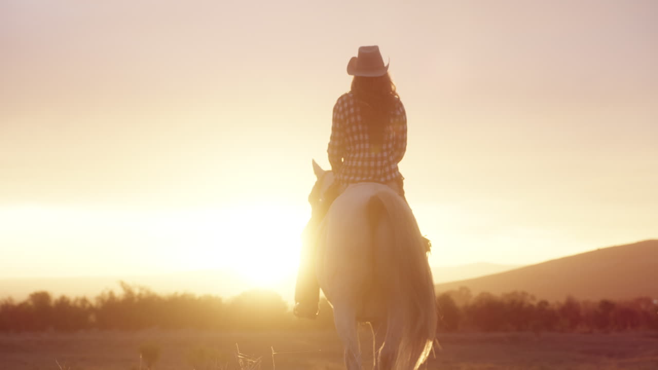 viaje a caballo al atardecer