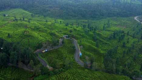 Aerial-View-Winding-Road-Over-Tea-Plantation-Near-Ciwidey-In-Bandung,-Indonesia