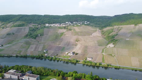 莫塞爾河 (moselle river) 沿著山坡的陡峭葡萄園,從空中拍攝