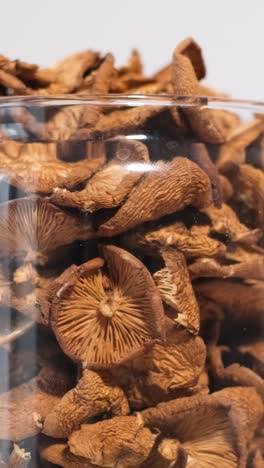 closeup of a jar of dried mushrooms spinning in a circle dry mushrooms closeup of a jar of dried mushrooms spinning in a circle dry mushrooms